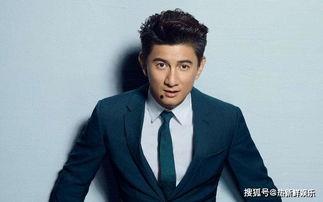 吴奇隆爆料娱乐圈,一场星光璀璨下的暗流涌动  第3张