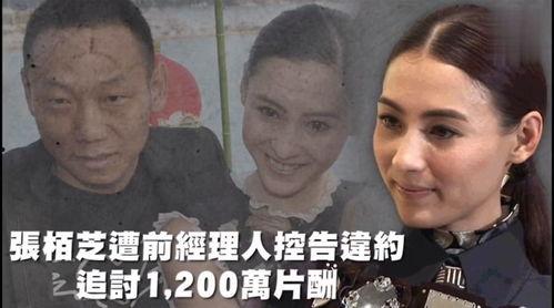 娱乐吃瓜纪录片,幕后真相与吃瓜瞬间  第2张